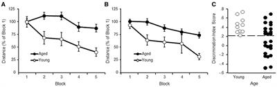Hippocampal Transcriptomic Profiles: Subfield Vulnerability to Age and Cognitive Impairment